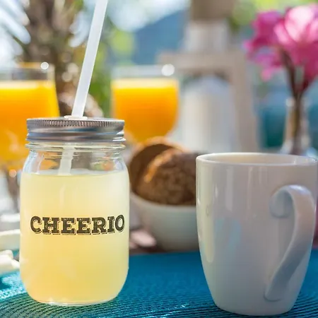 Apartment Nono Frano *