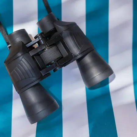 Apartment Nono Frano *