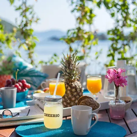 Nono Frano * Prožura