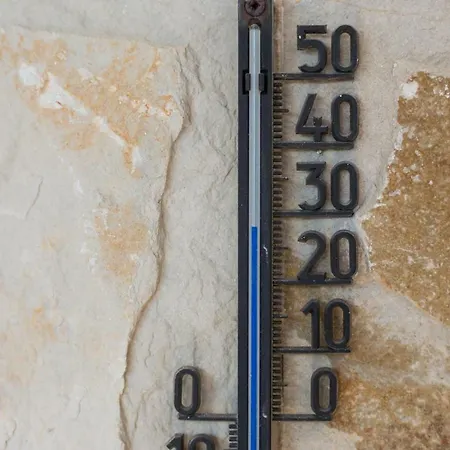 Nono Frano * Prožura